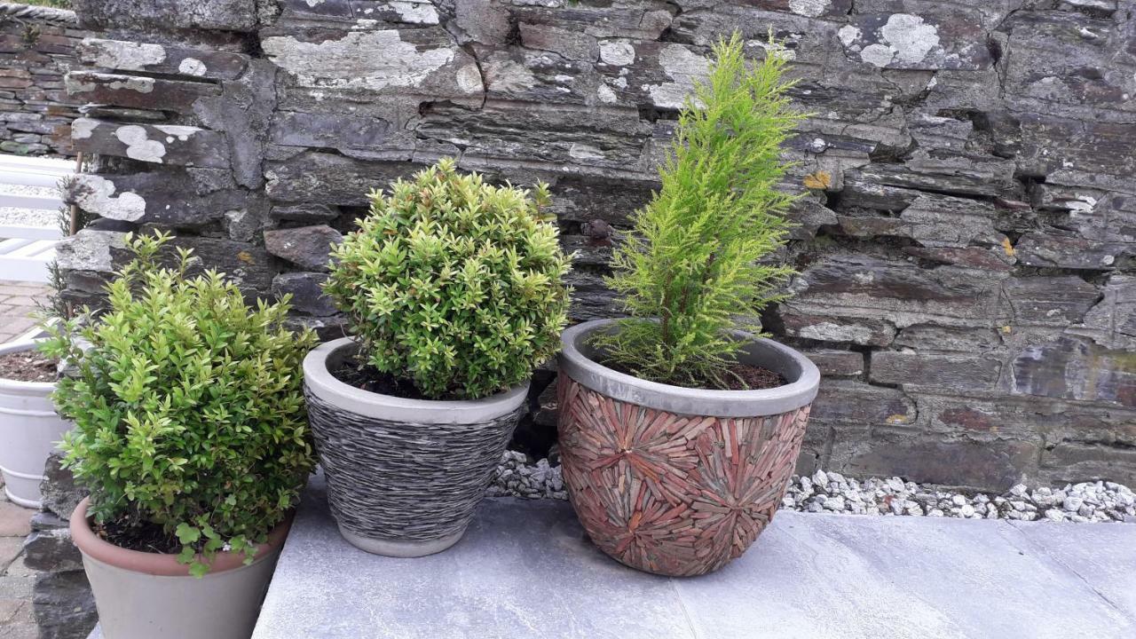 Bed and Breakfast Melorne Farm Camelford Zewnętrze zdjęcie
